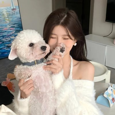 我私人的爱达荷